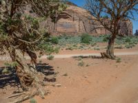 Rugged USA Nature: Off-Road Adventure in Arizona & Utah