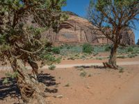 Rugged USA Nature: Off-Road Adventure in Arizona & Utah