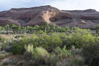 an open desert area with some bushes and rocks on the side of it that is a valley