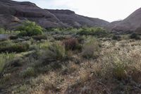 an open desert area with some bushes and rocks on the side of it that is a valley