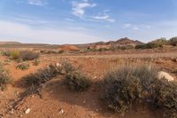 an arid area surrounded by scrubbys with rocks and grass in the foreground