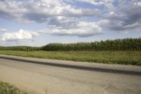 Rural Agriculture Landscape: Open Space and Fields