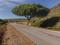 Rural Asphalt Road in Portugal