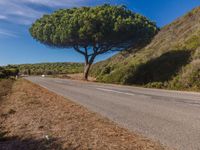 Rural Asphalt Road in Portugal