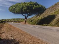 Rural Asphalt Road in Portugal
