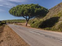 Rural Asphalt Road in Portugal