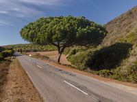 Rural Asphalt Road in Portugal