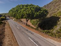 Rural Asphalt Road in Portugal