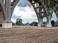 the construction work is under an overpass bridge on a cloudy day in the park