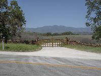 this is an image of the entrance to a ranch gate on the side of the road