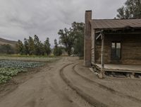 a dirt road going past a home with no people in it and vegetables growing around