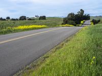 a person riding a skateboard on a road next to a yellow flowered field