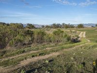 Rural California Landscape: A Dirt Road Through Grass and Hills