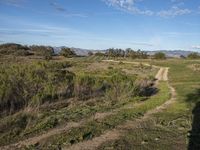 Rural California Landscape: A Dirt Road Through Grass and Hills