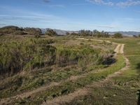 Rural California Landscape: A Dirt Road Through Grass and Hills