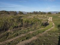 Rural California Landscape: A Dirt Road Through Grass and Hills