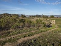 Rural California Landscape: A Dirt Road Through Grass and Hills