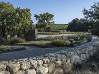 there are rocks on the wall near trees and bushes as well as grass and shrubs