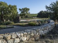 there are rocks on the wall near trees and bushes as well as grass and shrubs