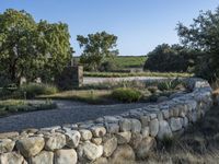 there are rocks on the wall near trees and bushes as well as grass and shrubs