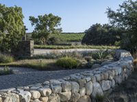 there are rocks on the wall near trees and bushes as well as grass and shrubs