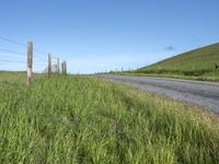 Rural California Landscape with Low Lying Grass Field