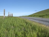 Rural California Landscape with Low Lying Grass Field