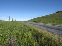 Rural California Landscape: Low-lying Grass Field 003