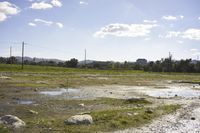 Rural California Landscape: Open Fields 005