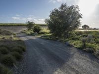 a dirt road surrounded by grass on a cloudy day in the countryside, next to the water