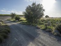 a dirt road surrounded by grass on a cloudy day in the countryside, next to the water