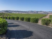 Rural California: Low Mountains and Vast Wilderness