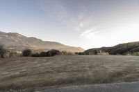 Rural California Morning Landscape