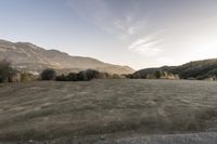 Rural California Morning Landscape