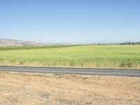 Rural California Road Through Grassy Landscape - 001