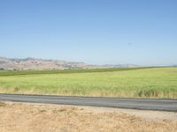 Rural California Road and Grassy Landscape 002