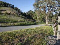 the fence is along a road with lush green grass near trees and a mountain in the distance