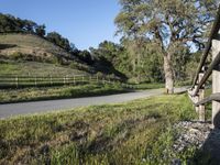 the fence is along a road with lush green grass near trees and a mountain in the distance