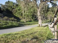 the fence is along a road with lush green grass near trees and a mountain in the distance