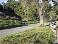 the fence is along a road with lush green grass near trees and a mountain in the distance