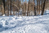 a snowy area with a trail through some snow in the middle of the picture and a person on skis, skiing down it