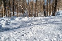 a snowy area with a trail through some snow in the middle of the picture and a person on skis, skiing down it