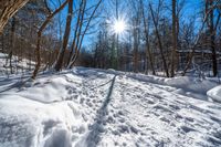 an image of snow in the woods in wintertime time lapsuunted to a blue sky