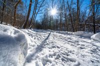 an image of snow in the woods in wintertime time lapsuunted to a blue sky