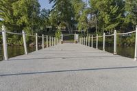 a pier at the edge of a body of water with trees in the background and bushes