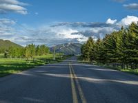 a empty road that goes through a grassy area with mountains in the background as well as trees