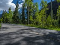 a scenic, winding road on the edge of a mountain range surrounded by tall trees