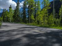 a scenic, winding road on the edge of a mountain range surrounded by tall trees