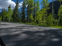 a scenic, winding road on the edge of a mountain range surrounded by tall trees