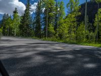 a scenic, winding road on the edge of a mountain range surrounded by tall trees